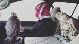 قصيده لاتصدق العلوم