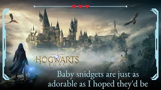 Hogwarts Legacy #34 - Baby snidgets are just as adorable as I hoped they'd be