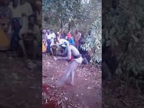 Download Nyau dance. Eastern province, Zambia