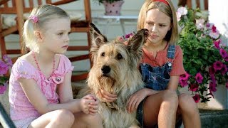 Because of Winn-Dixie Full Movie Facts And Review |  Jeff Daniels | Cicely Tyson