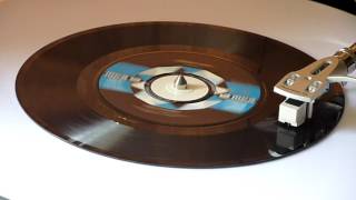 Video thumbnail of "Rick Nelson - Garden Party - Vinyl Play"