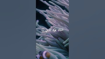 سورة الفاتحة / محمد اللحيدان محمد اللحيدان تلاوات هادئة اكتب شيئ تؤجر عليه في التعليقات