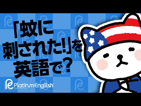 「蚊に刺された！」を英語で？ついでに覚えておくと良い「Itchy」