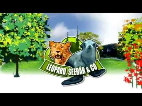Leopard Seebär Und Co