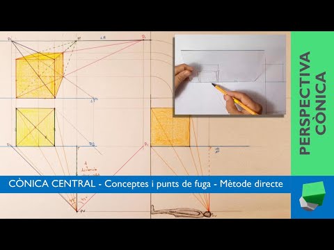 Vídeo: Què en saps de les rectes perpendiculars?