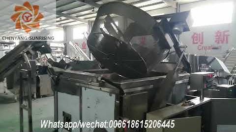 Batch fryer/frying machine line Jinan Sunrising