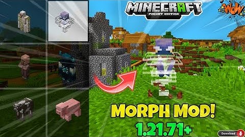 Morph Mod For MINECRAFT PE 1.21+ | MCPE Morph Addon Download