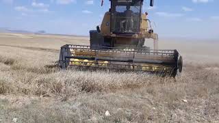 New Holland 80 40 Arpa Hasadı