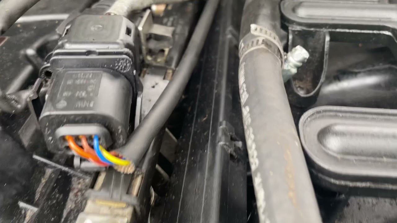 E46 325i M54 Horn Noise (Not CCV) YouTube