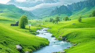 видео: Красивая расслабляющая музыка — избавляемся от лишних мыслей, музыка для снятия стресса #155 картинка: Красивая расслабляющая музыка — избавляемся от лишних мыслей, музыка для снятия стресса #155