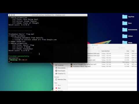 MusicRepair A python script that adds album art metadata