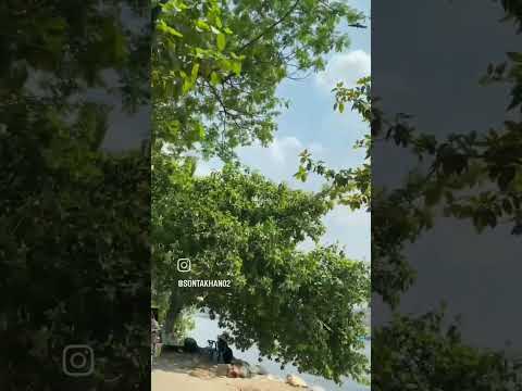 Naiyo Lagta Dil Tarebina Like Comment Support