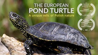 The European pond turtle. A unique relic of Polish nature screenshot 4