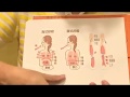 介紹腹式呼吸 - 橫膈膜呼吸