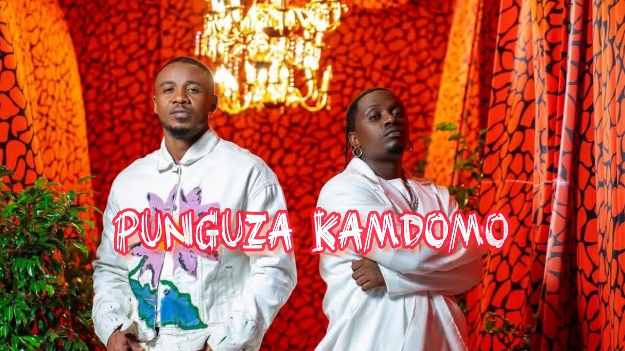 Alikiba X Rayvanny_"punguza kamdomo"|type beat 2025 |amapiano beat
