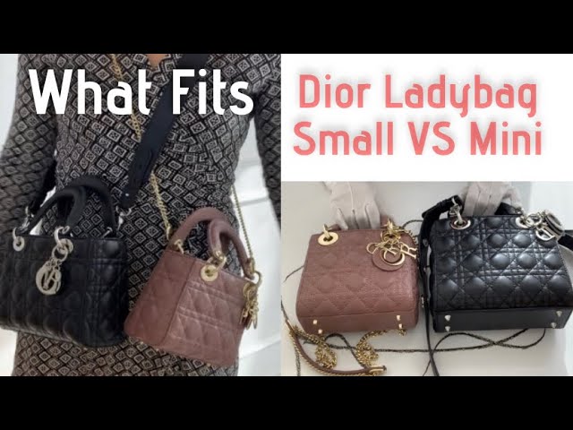 COMPARISON Dior My Ladybag Small VS Mini