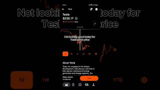 TESLA STOCK PRICE MOVEMENT - ROBINHOOD STOCK MARKET INVESTING