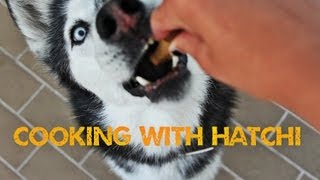 Carrot and Sweet Basil Dog Cookies - Cooking with Hatchi by The Xtreme Dogs 1,443 views 10 years ago 4 minutes, 20 seconds