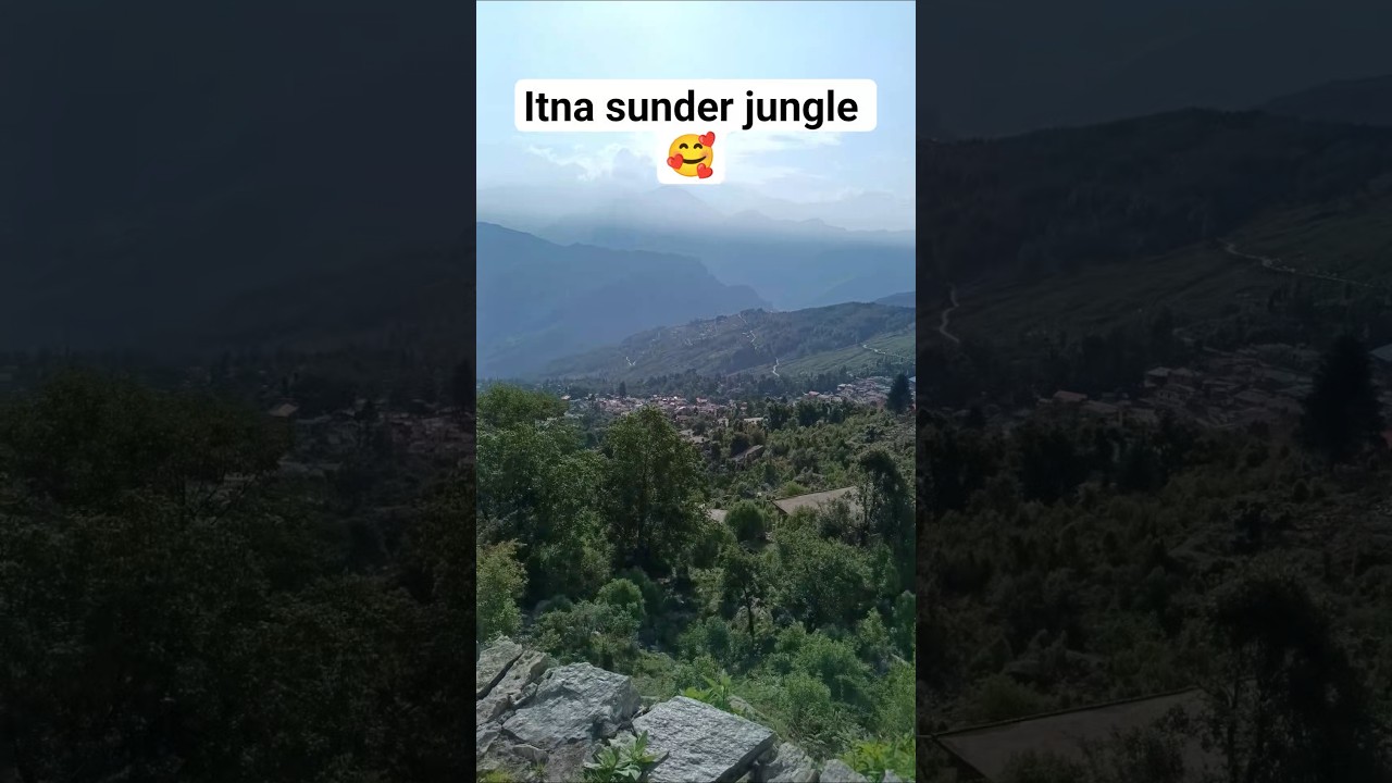 Itna sunder jungle 😍#munsiyari #travel #vlog #trending #shorts