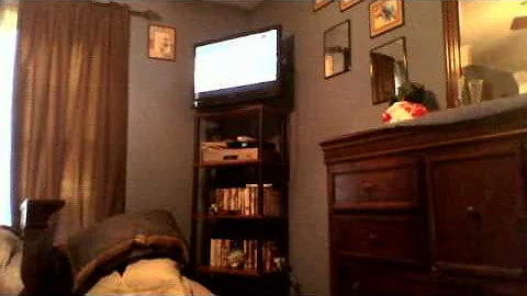 stupid video