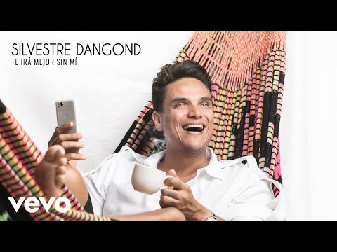 Silvestre Dangond - Te Irá Mejor Sin Mí (Audio)