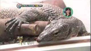 스펀지 제로 - Sponge zero #05 20120203