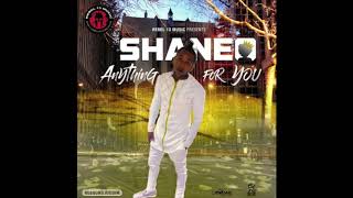 Shane O - Anything For You - Rebel 13 Music