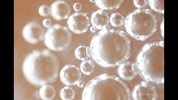 Micrography - Spit and Blood - KinoWeek #3