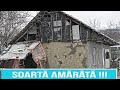 Soartă amărâtă !!!