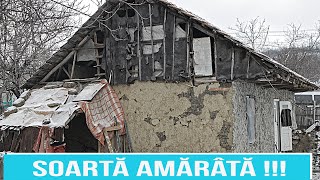 Soartă amărâtă !!!