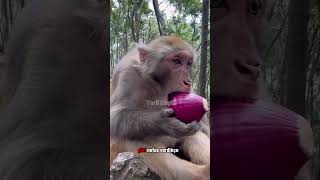 Günaydın Hayırlı Cumalar Cuma Mesajı