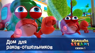 :  S.T.E.A.M.  1 -  19.  - -  