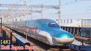 H5/E5 & E6 SHINKANSEN at Oyama Station, Saitama, Japan, November 2025