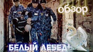 Век воли не видать ▫️ Белый лебедь ▫️ Внутри самой строгой зоны в России ▫️ ОБЗОР Прапора