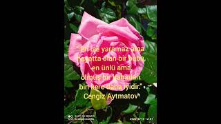 Cengiz Aytmatovdan Şfetteyiz Şfet Özler