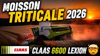 Moisson Triticale 2026 🌾 ! 
