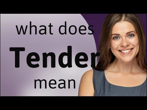 Tender | meaning of TENDER - YouTube