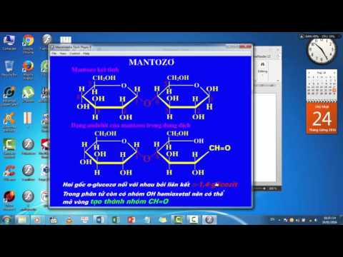 MANTOZO