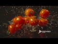Slow Motion Stock Video Footage - Vegetables