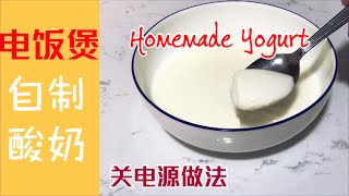 [电饭煲]自制酸奶食谱 Homemade Yogurt Recipe