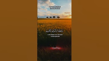 #القران_الكريم #ماهر_المعيقلي #اكسبلور #راحة_نفسية #corano #لايك #سورة_الحجرات