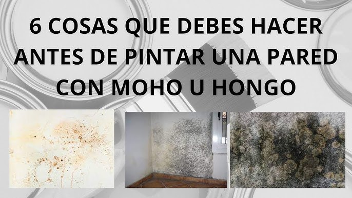 Como Limpiar hongos, MOHO y humedades. REMOVE MOLD. English subtitles 