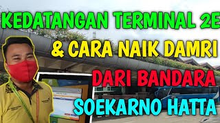 CARA NAIK BUS DAMRI DARI TERMINAL 2 BANDARA SOEKARNO HATTA KE KOTA-KOTA LAINNYA