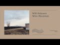 Will Johnson - Wire Mountain [official full album audio]