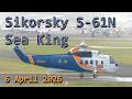 Sikorsky S-61N Sea King - 6 April, 2026 - Choppers in the Wild