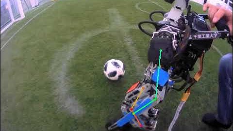 2D pose estimation of the humanoid robot