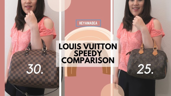 LOUIS VUITTON World Tour Speedy 30 Bandouliere India