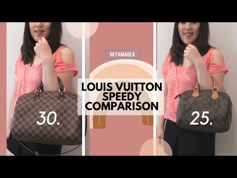 LOUIS VUITTON SPEEDY 25 VS. 30 - 5 Minute Friday