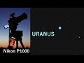 Zooming planet URANUS with Nikon P1000 !  No telescope - just a camera!!