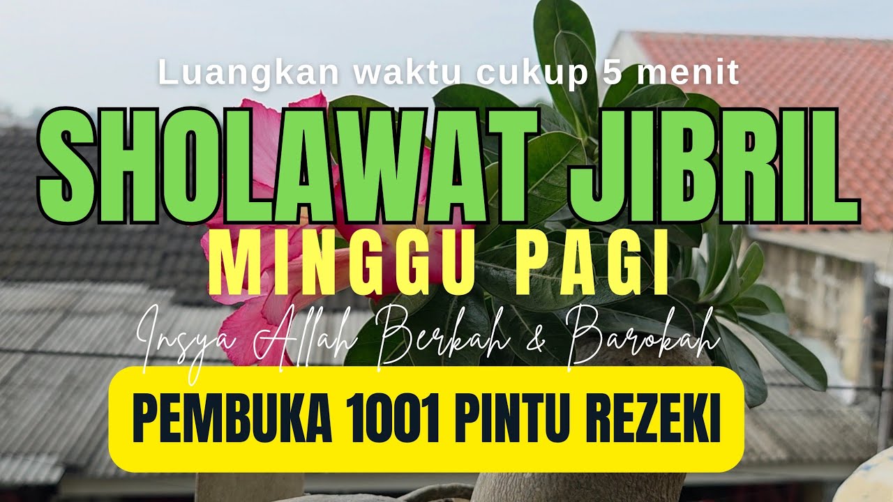 SHOLAWAT JIBRIL | SHOLAWAT PENARIK REZEKI & KETENANGAN HATI ﷺ ✨